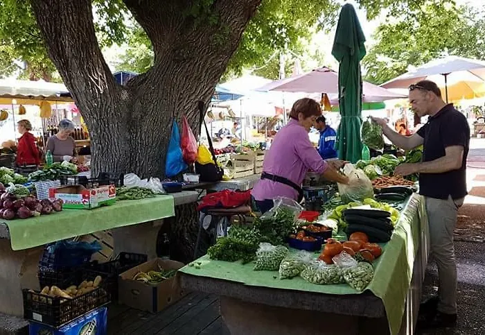 Luxury In Apartmant Drago アパート *